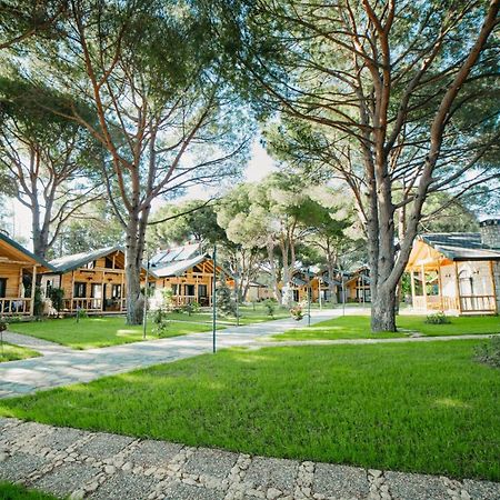Pino Mar Luxury Bungalows 埃尔代克 外观 照片