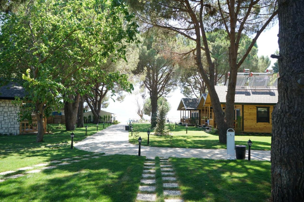 Pino Mar Luxury Bungalows 埃尔代克 外观 照片