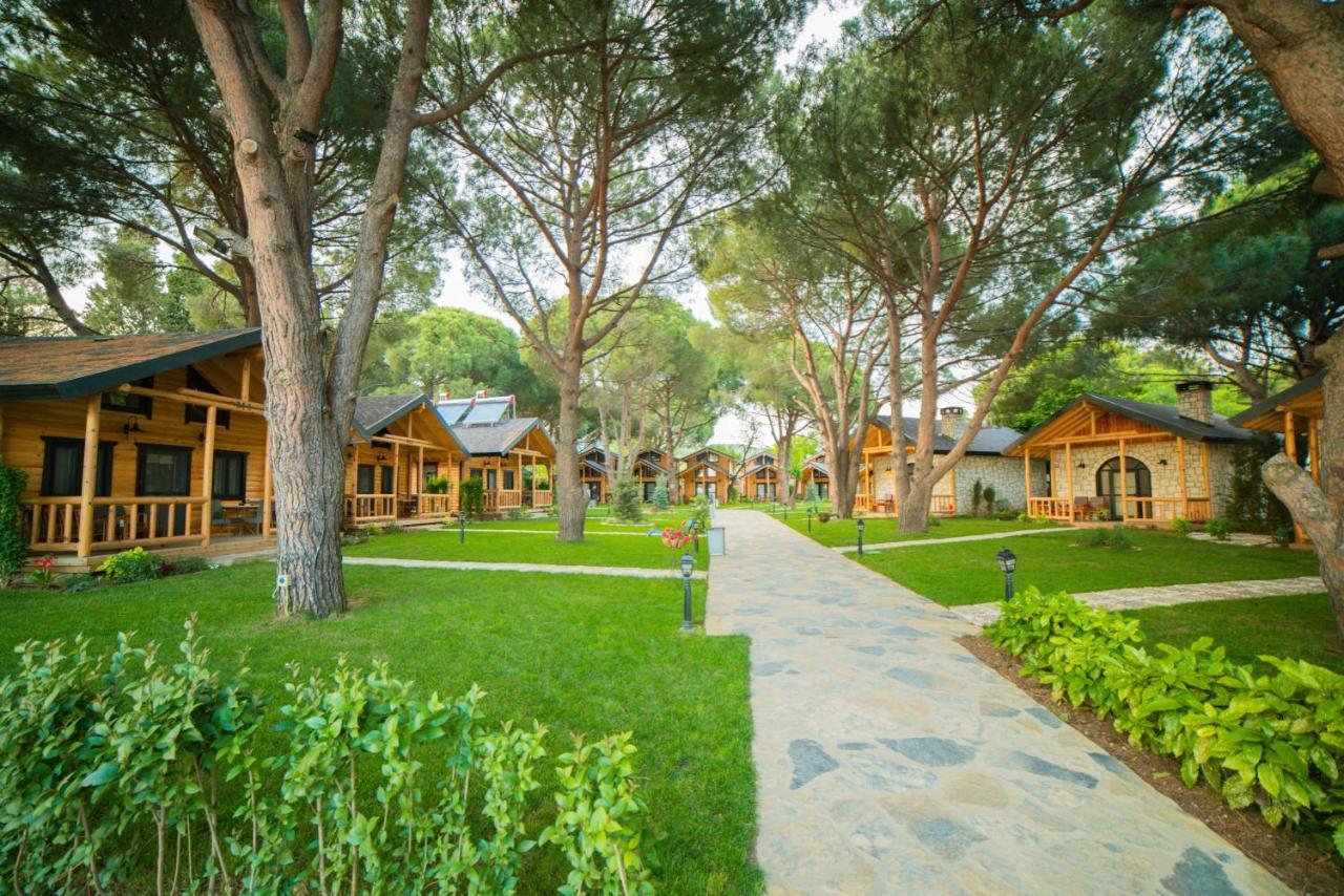 Pino Mar Luxury Bungalows 埃尔代克 外观 照片