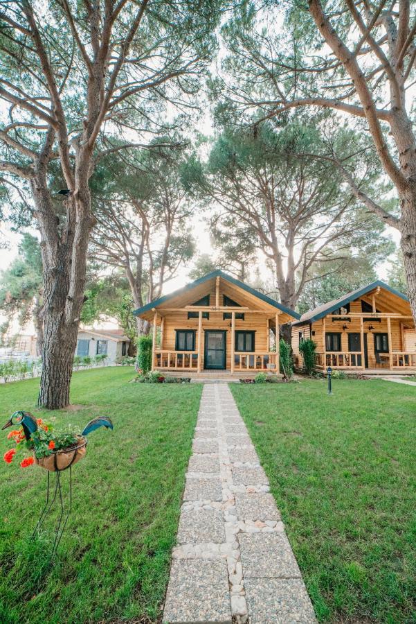 Pino Mar Luxury Bungalows 埃尔代克 外观 照片
