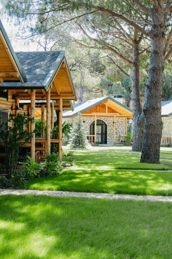 Pino Mar Luxury Bungalows 埃尔代克 外观 照片