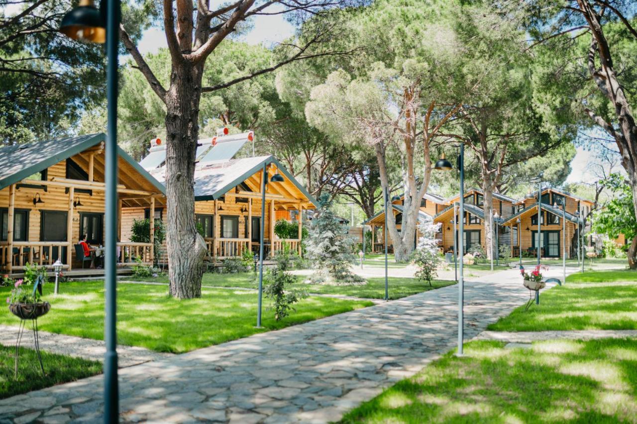 Pino Mar Luxury Bungalows 埃尔代克 外观 照片