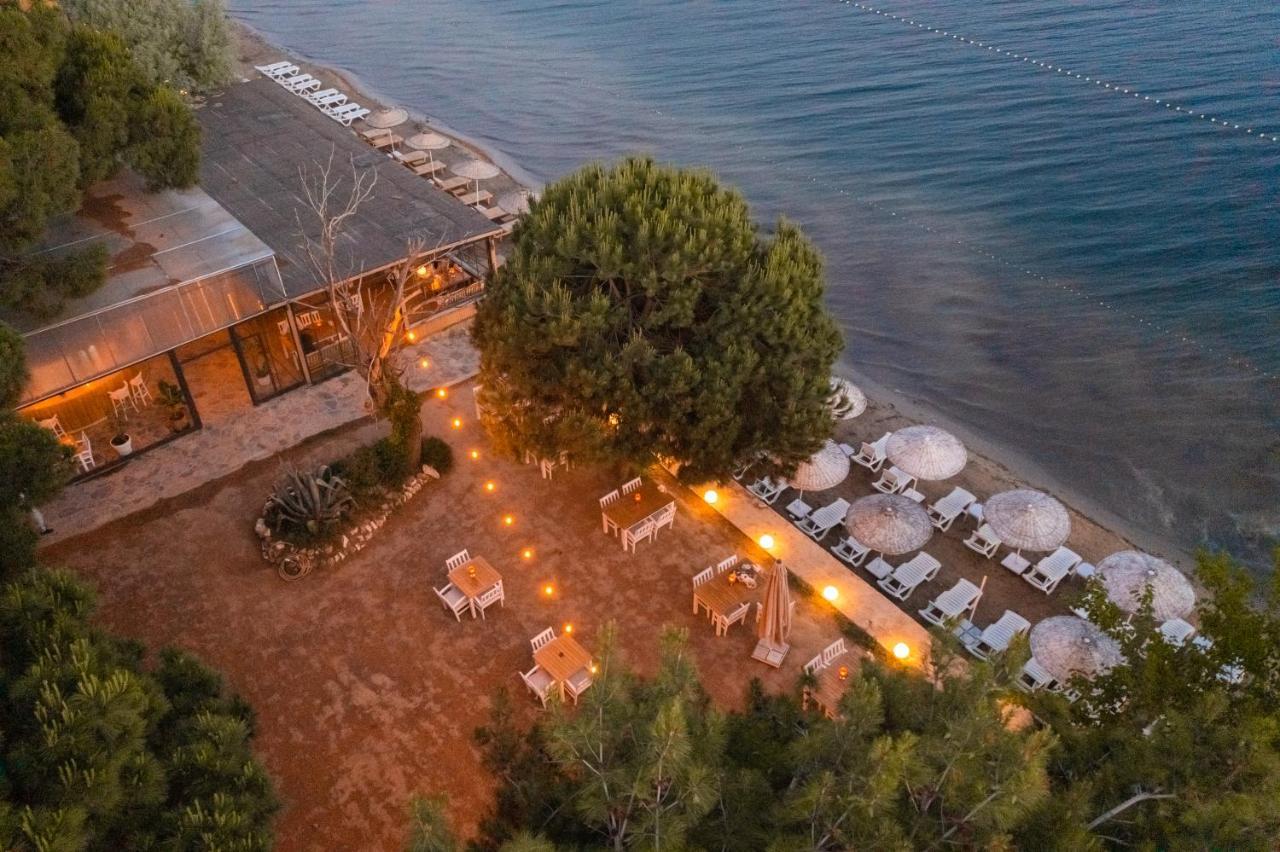 Pino Mar Luxury Bungalows 埃尔代克 外观 照片